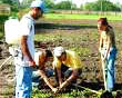 lavoro_agricolo